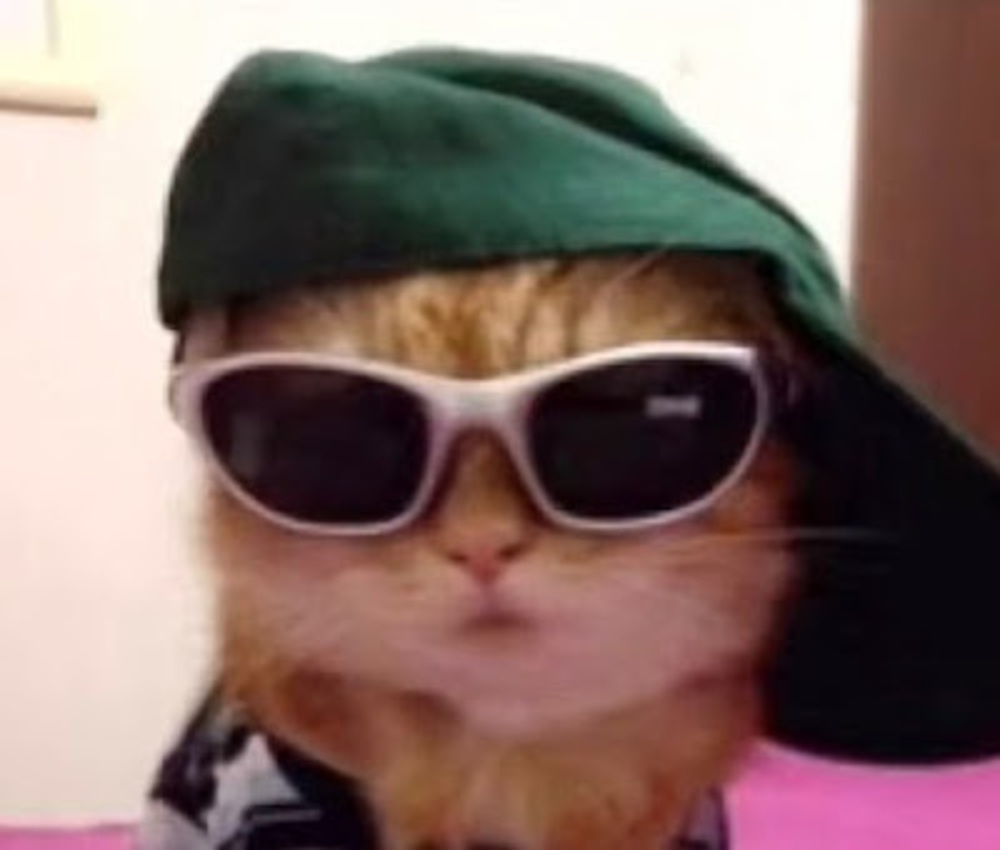 Meet your Posher, Meandis